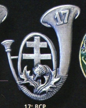 Le 17° Bataillon de Chasseurs à Pied a été créé en 1954 il est titulaire de la Fourragère Médaille Militaire (guerre de 1914 1918 )il avait fait campagne en ALGERIE en 1879